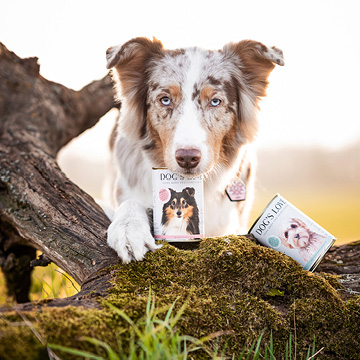 Hypoallergenes-Hundefutter