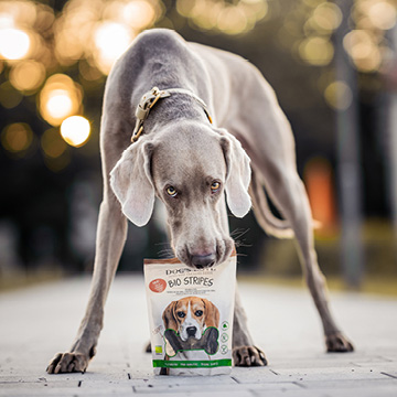 Hunde-Snacks