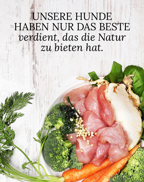 Banner mit dem Text: Unsere Hunde haben nur das Beste verdient, das die Natur zu bieten hat. Sowie einer Abbildung von einem Futternapf mit unterschiedlichen Rohstoffen