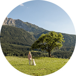 Landschaftsbild mit grüner Wiese, Bäumen und Bergen im Hintergrund