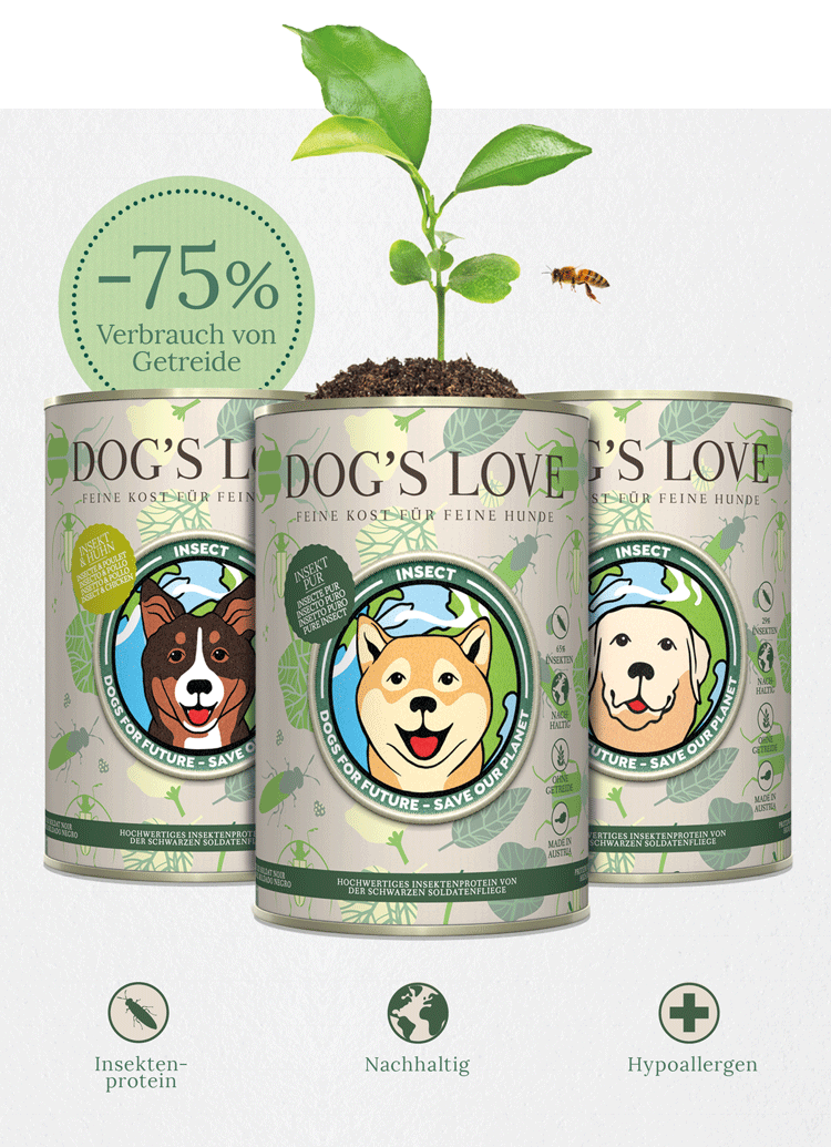 Banner mit allen 3 DOG'S LOVE Insect Sorten, der folgende Informationen engält: Insektenprotein, Nachhaltig & Hypoallergen sowie die Information -75% weniger Wasser