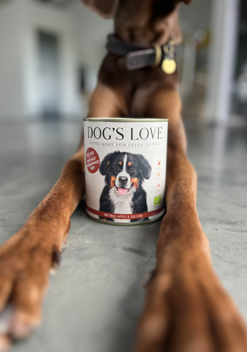 Ein Hund leigt am Boden, man sieht nur seine Vorderpfoten und seinen Oberkörper und zwischen den Pfoten steht eine DOG'S LOVE Bio Dose