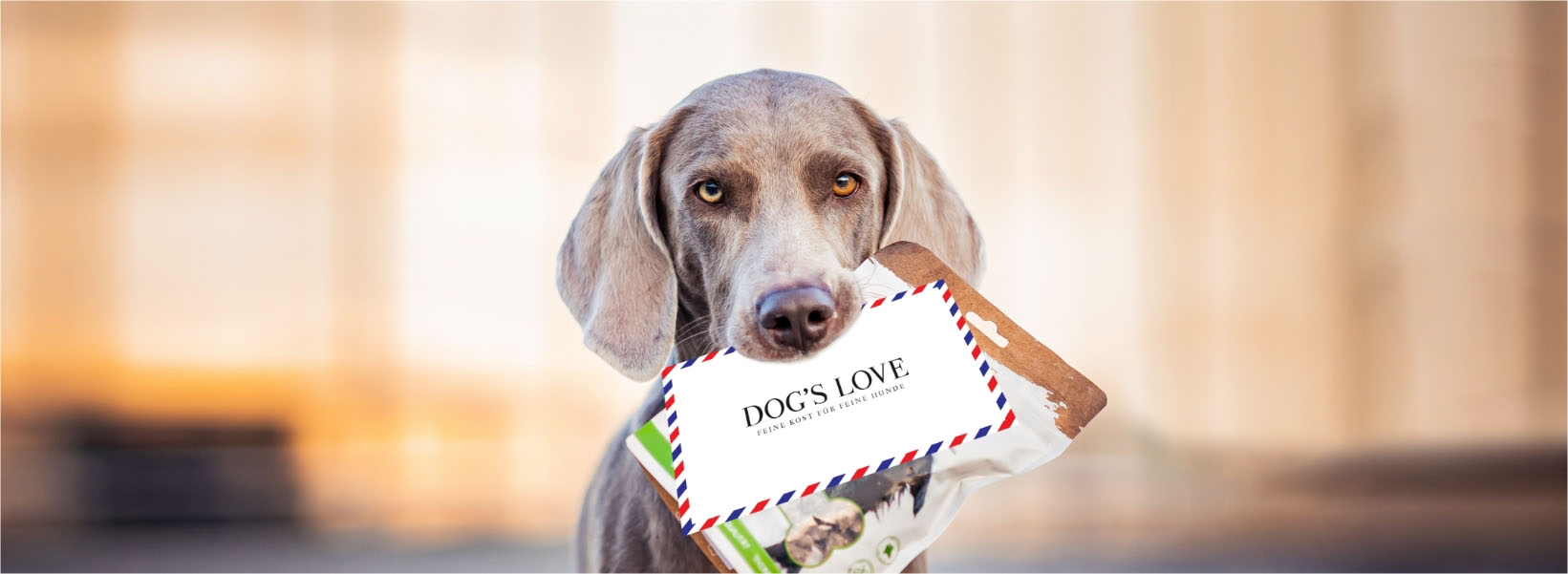 Hund der eine Packung DOG'S LOVE Snacks und einen Brief im Maul hat