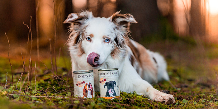 hund mit 2 dosen barf futter