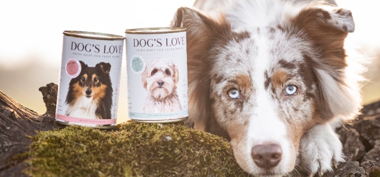 Ein Hund mit 2 Hundefutterdosen von DOG'S LOVE