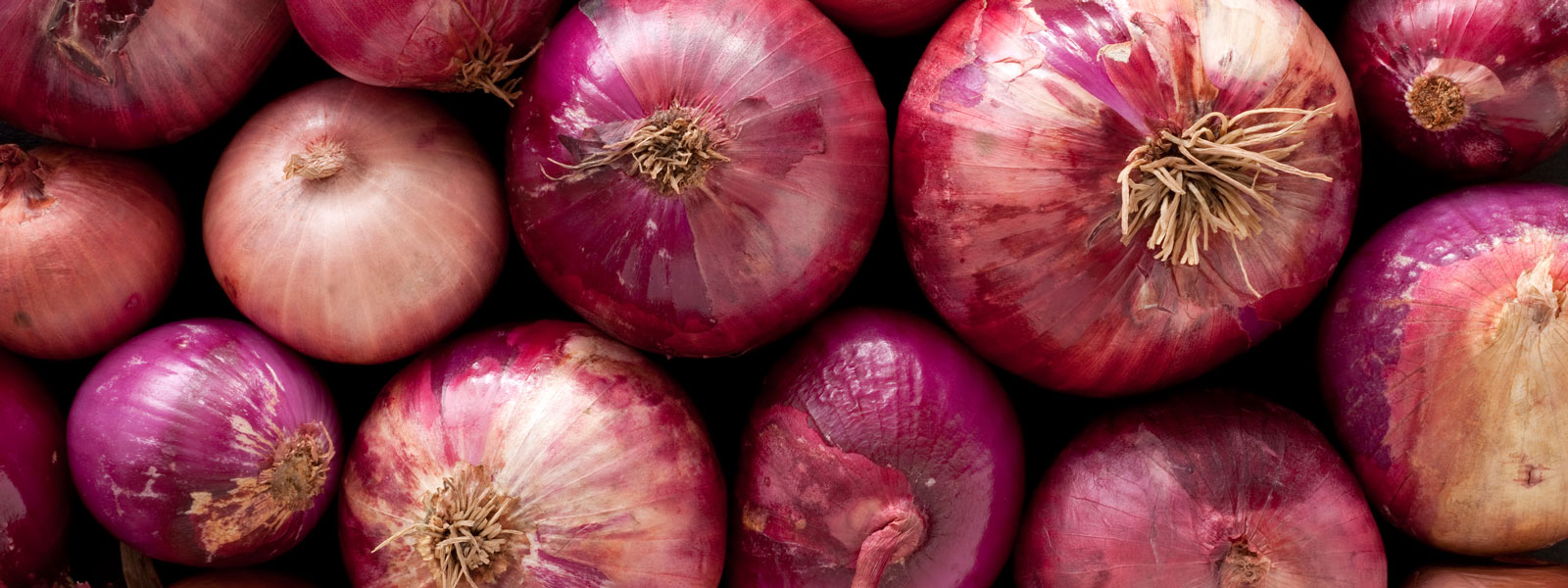 many onions on a pile