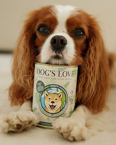 Hund mit einer Futterdose von DOG'S LOVE