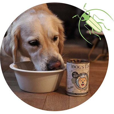 A dog that is gleefully out of a food bowl and next to which is a can of DOG'S LOVE Insect Pur