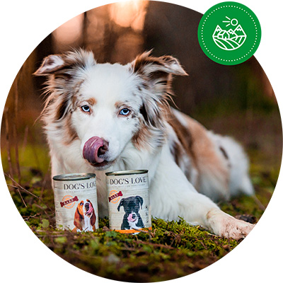 Dog lying in the forest with two cans of our DOG'S LOVE BARF supplement in front of him.