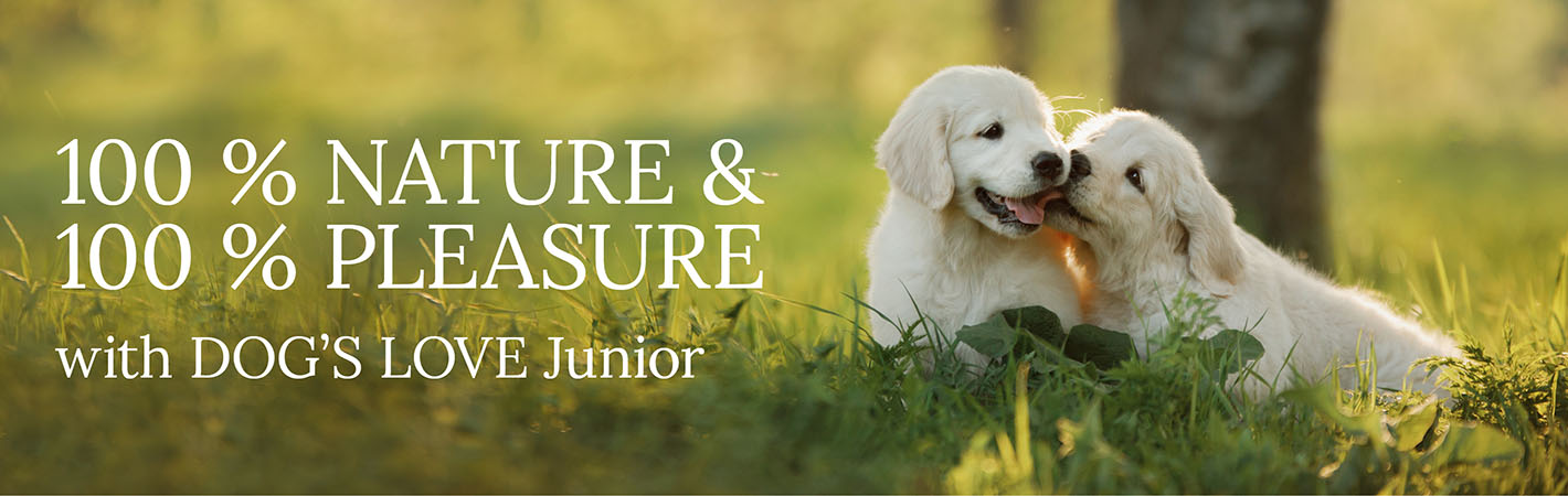 Puppies in a meadow with text: 100% Nature & 100% Indulgence with DOG'S LOVE Junior