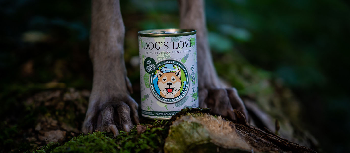 Dog's paws standing on a moss-covered ground in the forest and between them is a can of DOG'S LOVE Insect Pur