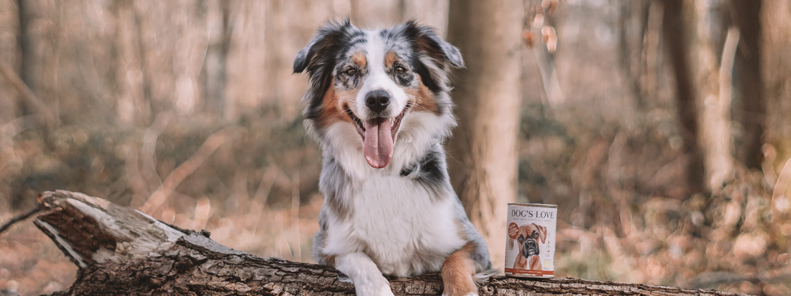 A dog with its paws hanging over a fallen tree and a tin of DOG'S LOVE organic food next to it