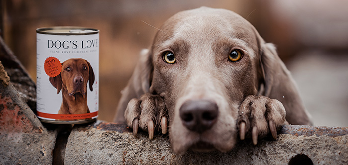 Hund der seinen Kopf auf einer alten Stange abgelegt hat und neben ihm steht eine DOG'S LOVE Dose Rind