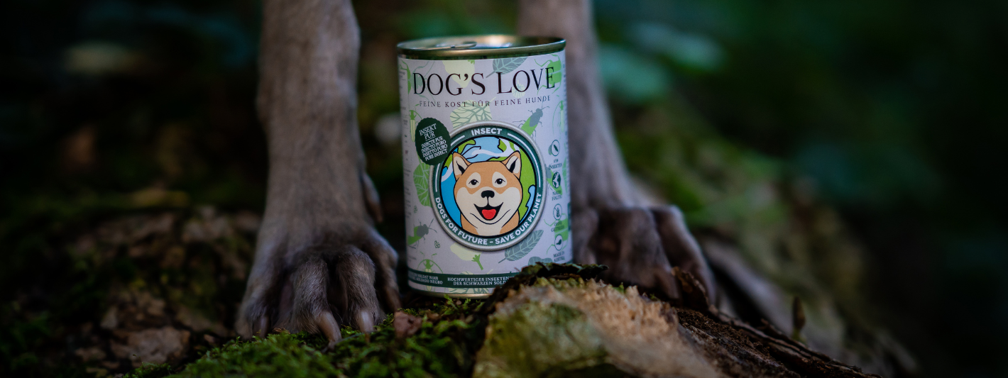 Dog Food can in the woods