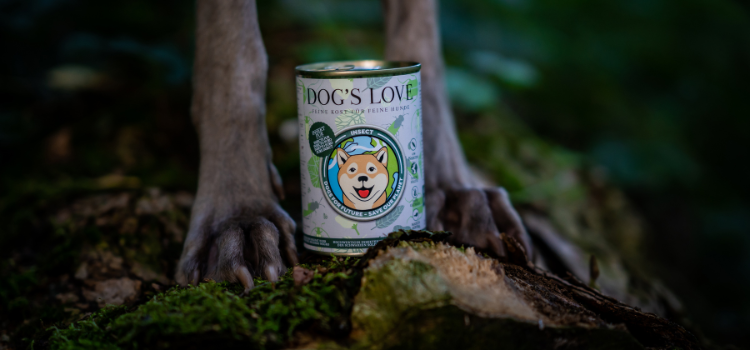 Dog Food can in the woods