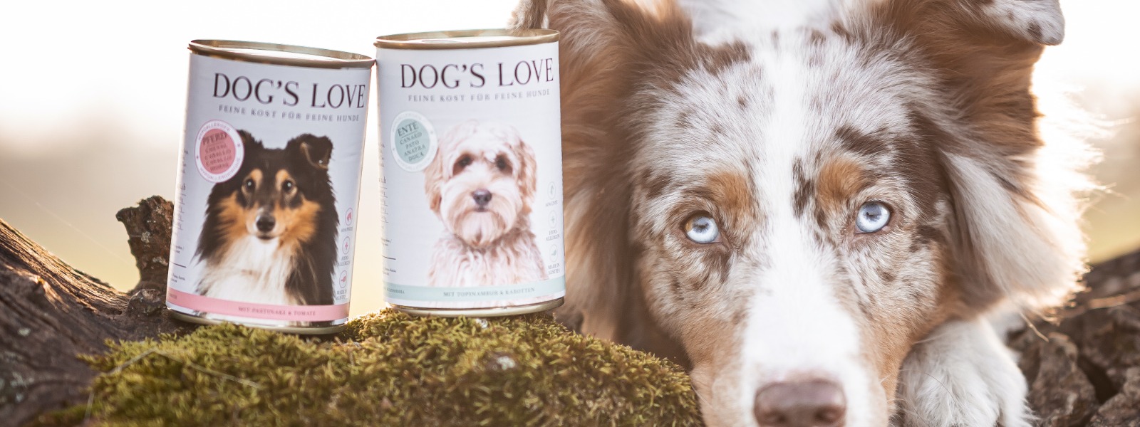 A dog with two cans dogfood from DOG'S LOVE