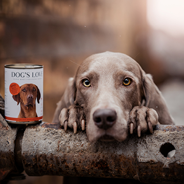 Comida húmeda para perros