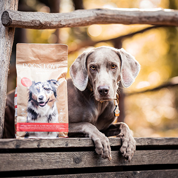 Comida seca para perros