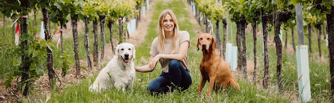 Katharina Miklauz entre las viñas con los perros de la familia Nala y Pluto