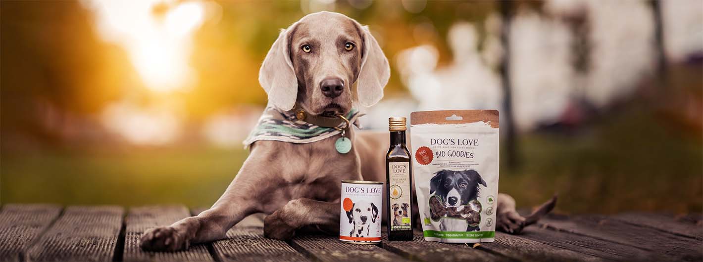 Un perro tumbado en un muelle con diferentes productos DOG'S LOVE delante.