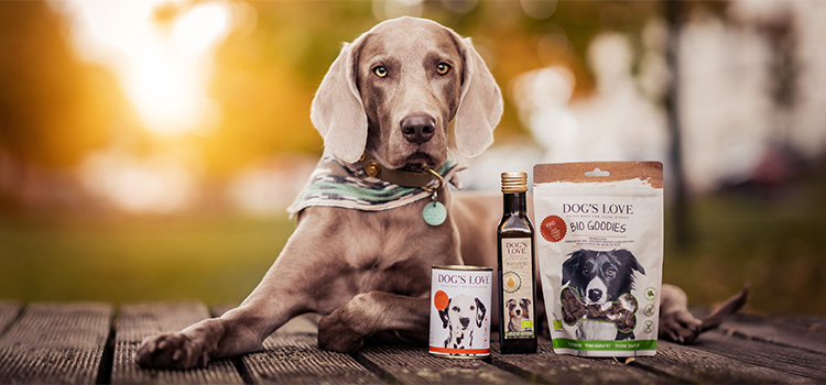 Un perro tumbado en un muelle con diferentes productos DOG'S LOVE delante.