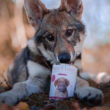 Nourriture pour chiots