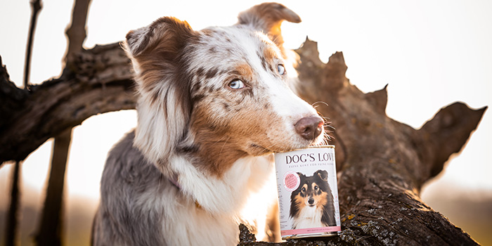 dog and can of dogfood with horsemeat