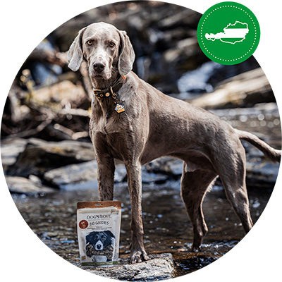 Cane in piedi in un fiume e davanti a lui una confezione di snack per cani.